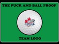Golf-Team-Logo-Dolphins
