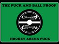 Hockey-Arena-Chesswood