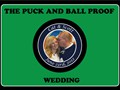 Wedding-Cat-Engagement